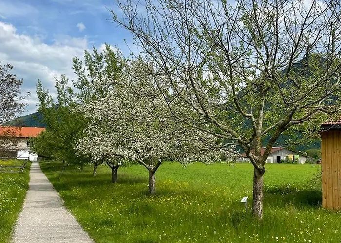 Klauserhof アパート