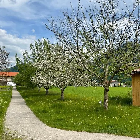 Klauserhof Apartment